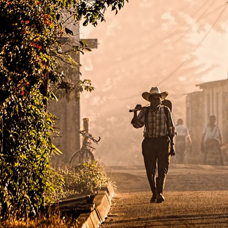 AFFORD_Farmer walking_GV-800x800